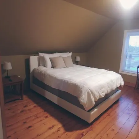 Back Cove Views Apartment
